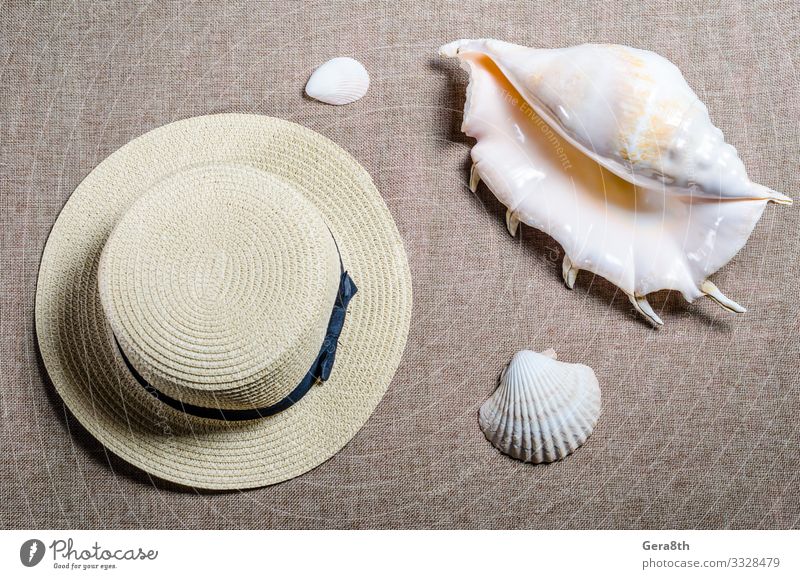 vacation flat view with straw hat and sea shellssea shells Vacation & Travel Summer Ocean Cloth Hat Pigeon Yellow Black big Linen corrugated dupe fluted jugate