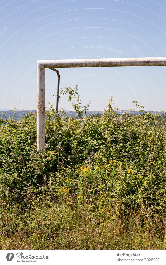 Bundesliga dropped out - overgrown goal Portrait photograph Central perspective Deep depth of field Light Day Copy Space middle Copy Space bottom Copy Space top