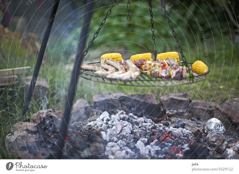 have a barbecue Food Meat Sausage Vegetable Nature Natural Barbecue (event) BBQ Colour photo Exterior shot Deserted Day