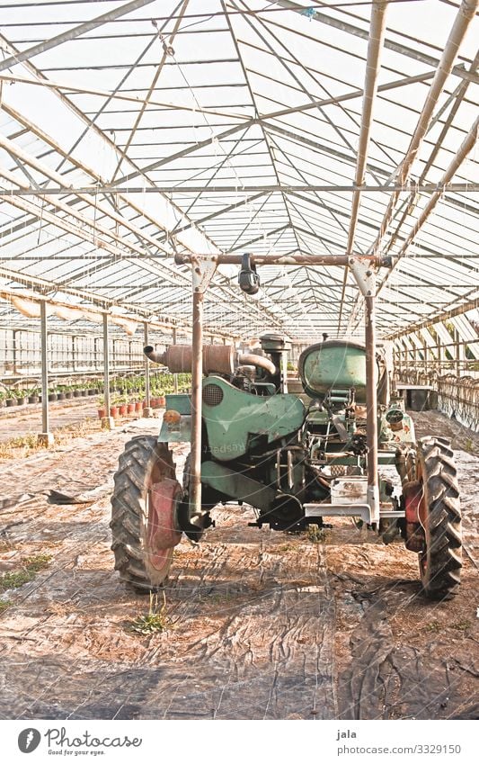 Vehicle Work and employment Gardening Agriculture Forestry Manmade structures Building Greenhouse Tractor Simple Colour photo Interior shot Deserted Day