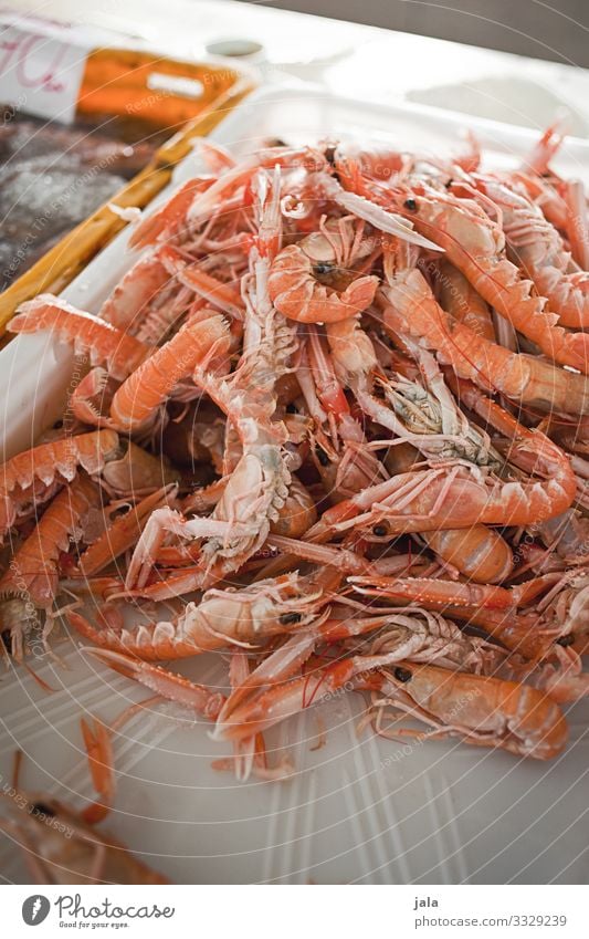 scampis Food Seafood Crustacean Shrimps Shopping Animal Fresh Healthy Delicious Markets Market stall Fish market Protein Healthy Eating Colour photo
