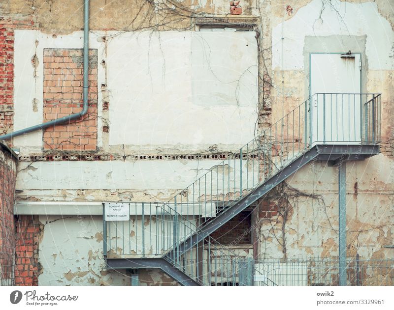 chicken ladder torgau Saxony Germany Small Town Downtown House (Residential Structure) Building Wall (barrier) Wall (building) Facade Door Eaves Stairs Banister