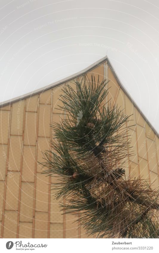 Philharmonic pine Music Tree Pine Coniferous trees Berlin Manmade structures Architecture Facade Tourist Attraction Berlin Philharmonic Metal Stand Growth