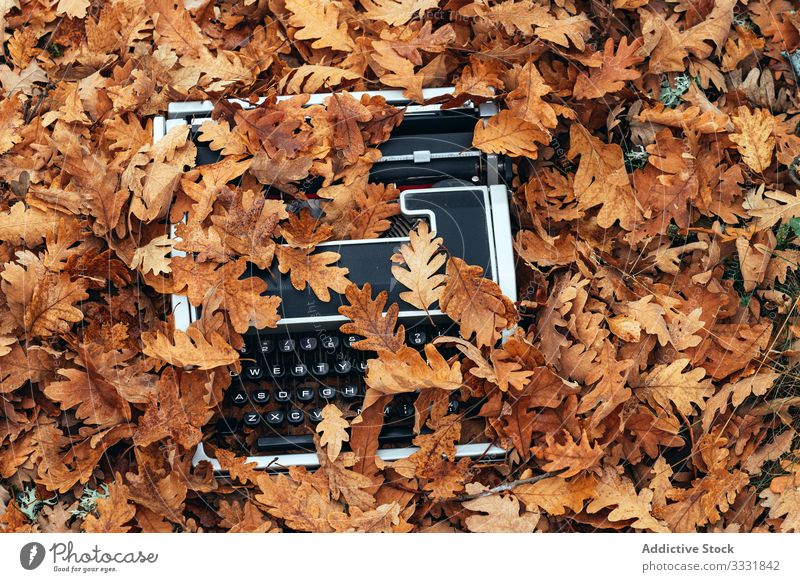 Typewriter covered with oak leaves in autumn typewriter vintage mood moody forest tablet oak forest old modern electronic reflection machine retro inspiration
