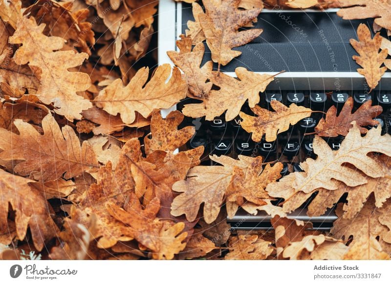 Typewriter covered with oak leaves in autumn typewriter vintage mood moody forest tablet oak forest old modern electronic reflection machine retro inspiration