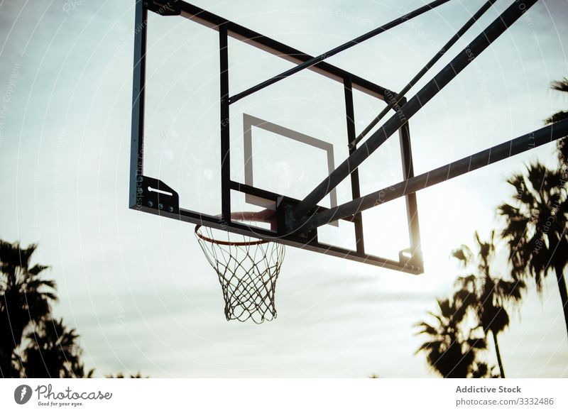 Basketball backboard and ring net on court basketball park palm tree sunlight sky venice beach usa circle cloudy competition fishnet high hoop knot loop mesh