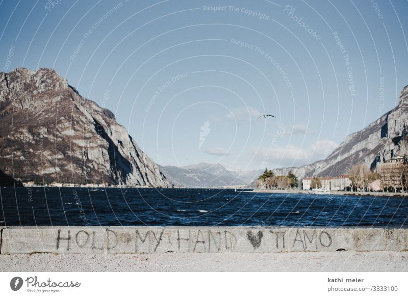 Ti Amo Italy Lake Como Fishing village Harbour Wall (barrier) Wall (building) Sign Characters Heart Flying Authentic Happy Kitsch Beautiful Blue Contentment