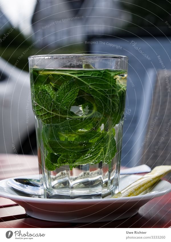 Fresh peppermint in a glass Food Nutrition Organic produce Vegetarian diet Beverage Hot drink Tea Glass Style Health care Mint Mint leaf Contentment Energy