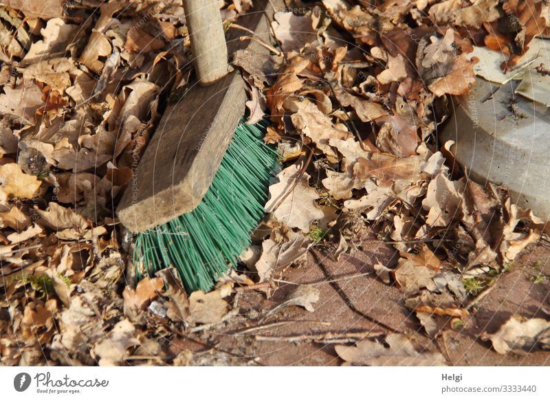 wooden street broom with green plastic bristles stands in withered leaves Environment Nature Winter Leaf Broom Wood Plastic Lie Stand To dry up Authentic