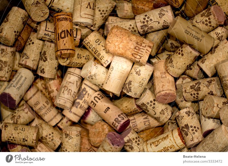 it was a long night - accumulation of wine corks Cork Vine Alcoholic drinks To pop the corks Party mood Drinking Bottle Feasts & Celebrations Beverage