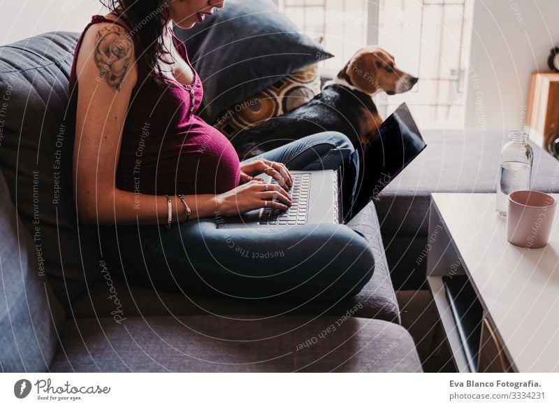 young pregnant woman at home working on laptop. cute beagle dog besides Notebook Computer Pregnant Woman Dog Beagle Home Bed Cellphone Technology PDA expecting