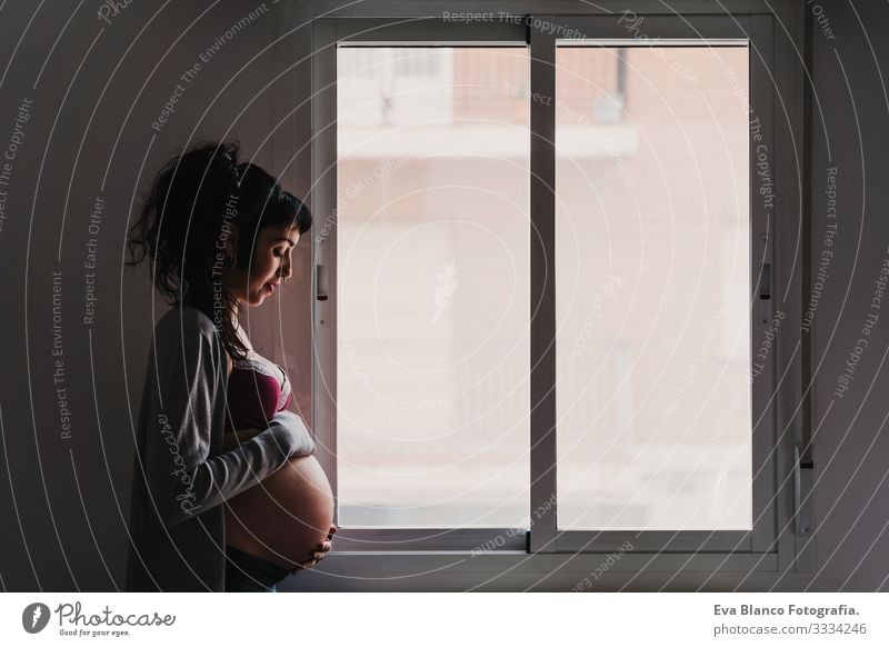 portrait of young pregnant woman at home standing by the window Pregnant Woman Portrait photograph Home Lifestyle expecting Window Day Expectation