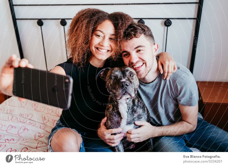 happy couple in love at home. Afro american woman, caucasian man and their pit bull dog together. Family concept Couple Love African-American Ethnic Woman Home