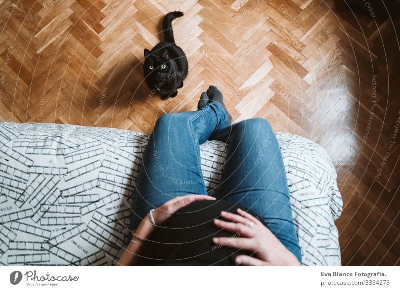 young pregnant woman at home. beautiful black cat besides Pregnant Woman Youth (Young adults) pregnancy Home maternity Life Showing one's bellybutton Relaxation