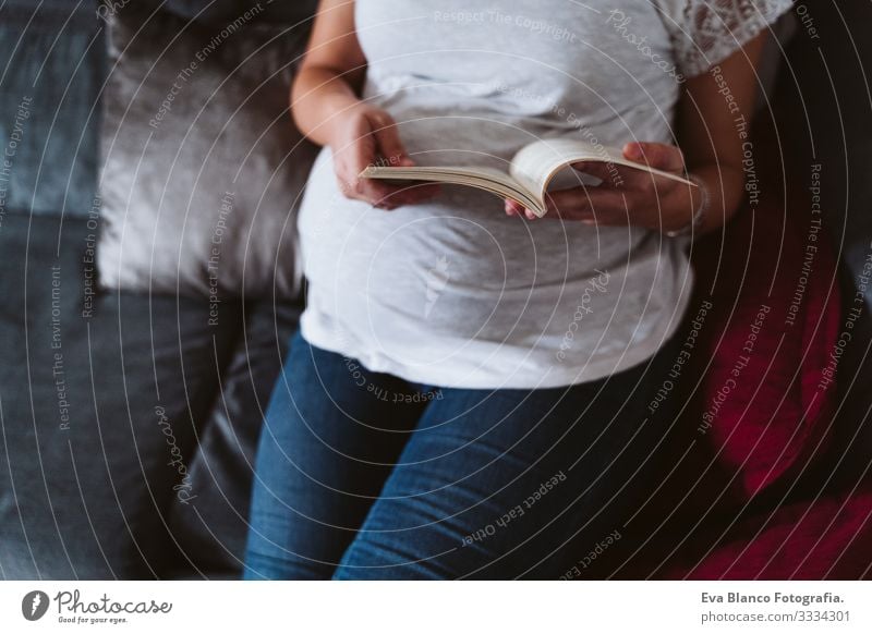young pregnant woman at home reading a book Pregnant Woman Youth (Young adults) pregnancy Reading Book Home maternity Life Lounge Showing one's bellybutton