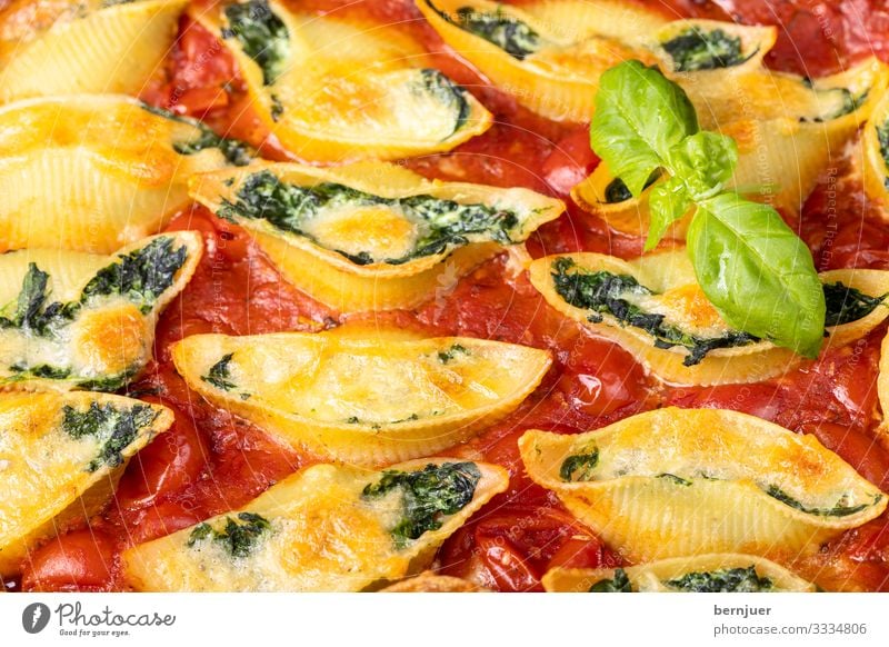 Conchiglini Cheese Vegetable Herbs and spices Dinner Vegetarian diet Mussel Fresh Delicious Green Red White Conchiglione pasta filled Italian boil Sauce Ricotta