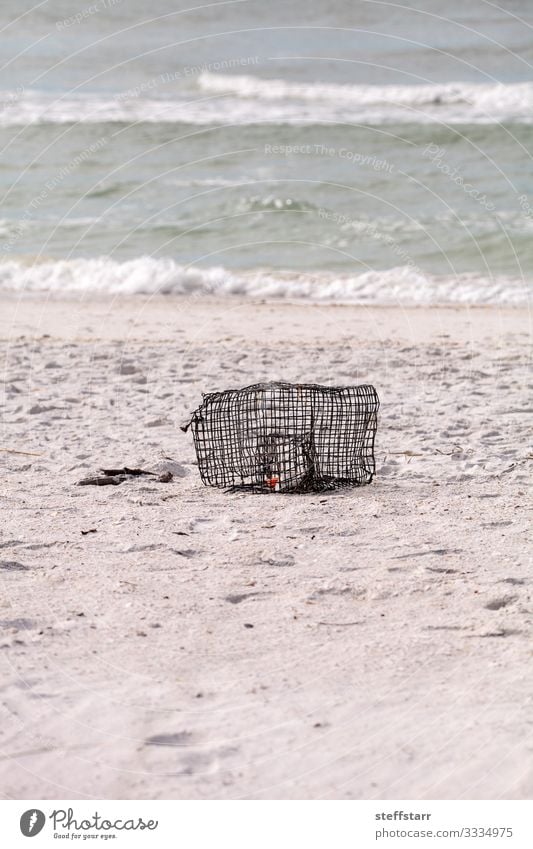 Crab and lobster trap washed up on the white sand beach Seafood Beach Ocean Environment Nature Coast Metal Water Blue Lobster trap crap trap fishing metal cage