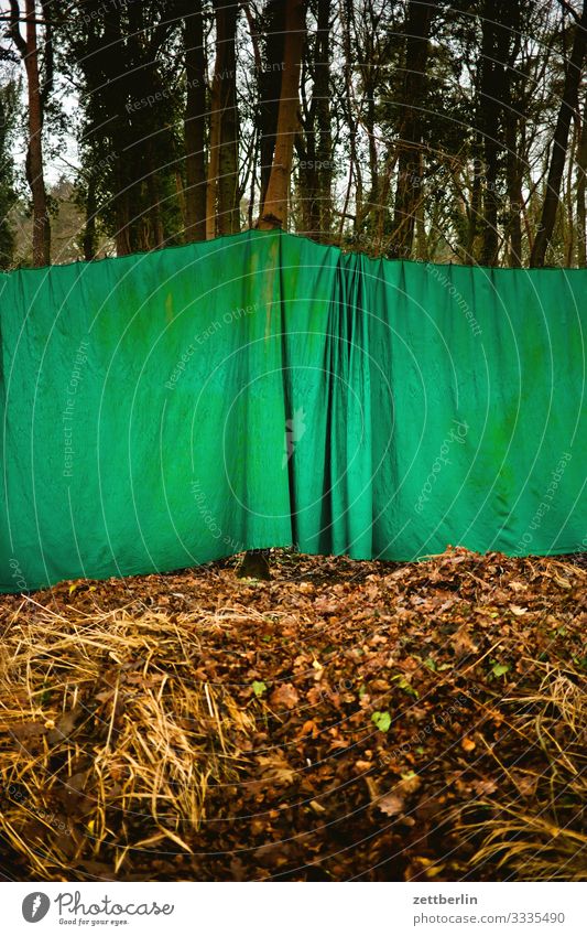 Green curtain in the forest Trip Berlin Brandenburg new fahrland Forest Nature Hiking Drape Wrinkles Folds Closed Invisible Camouflage Blind Partition
