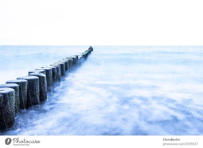 Groynes in the Baltic Sea Ocean Waves Nature Landscape Water Horizon wood Maritime Blue Attentive Serene Calm Force Vacation & Travel Stage Far-off places