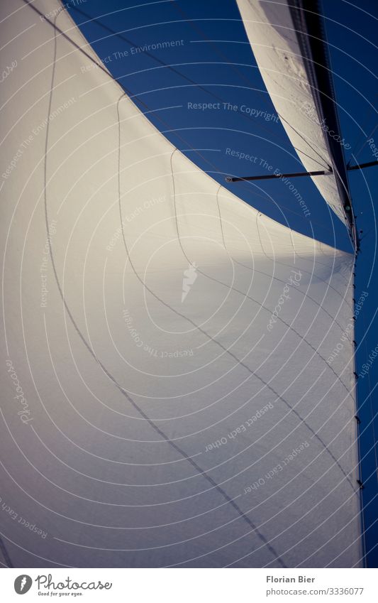 Hard on the wind Luxury Sky Climate change Sailboat Mast Driving Dream Esthetic Far-off places Large Bright Tall Maritime Clean Blue White Enthusiasm Brave