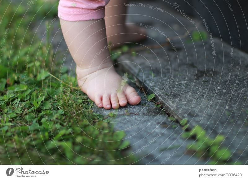 Baby feet on cobblestones and grass Child Toddler Girl Boy (child) Feet 1 Human being 0 - 12 months 1 - 3 years Going Stand Terrace Meadow Nature Curiosity