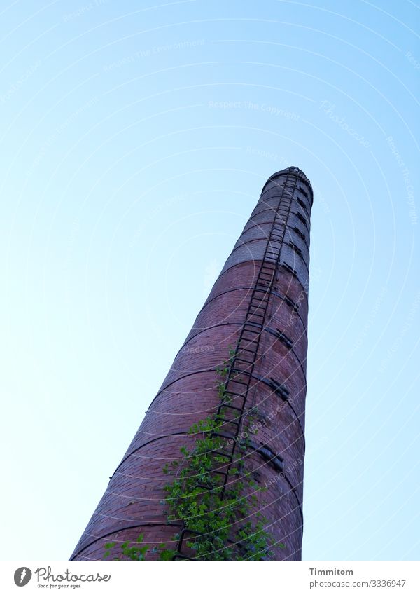 One tower (Multi-Mix) Industrial plant Stone Metal Old Crazy Blue Green Violet Emotions Tower Ladder Tall Colour photo Exterior shot Day Worm's-eye view