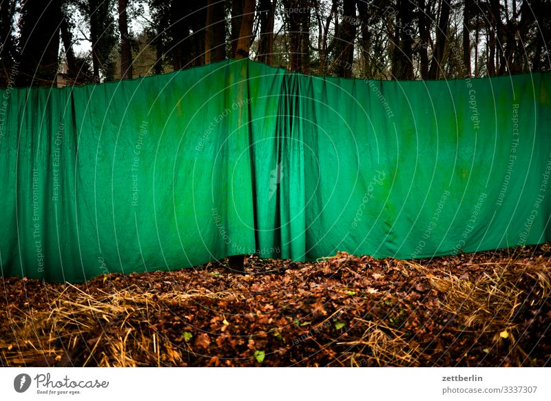Green curtain in the forest Trip Berlin Brandenburg new fahrland Forest Nature Hiking Drape Wrinkles Folds Closed Invisible Camouflage Blind Partition