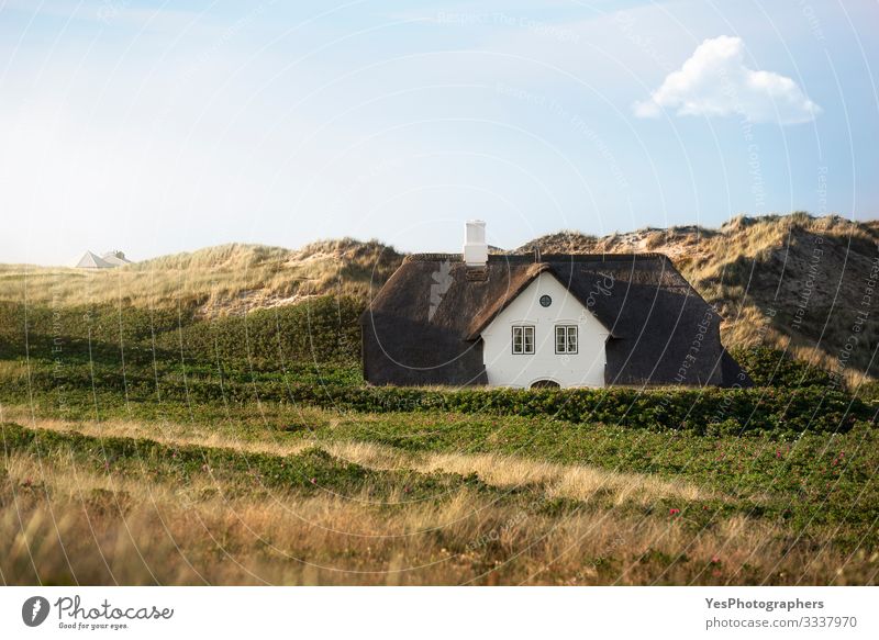 Reed roof house on dunes on Sylt island at North Sea Summer House (Residential Structure) Dream house Landscape Beautiful weather Building Architecture Facade