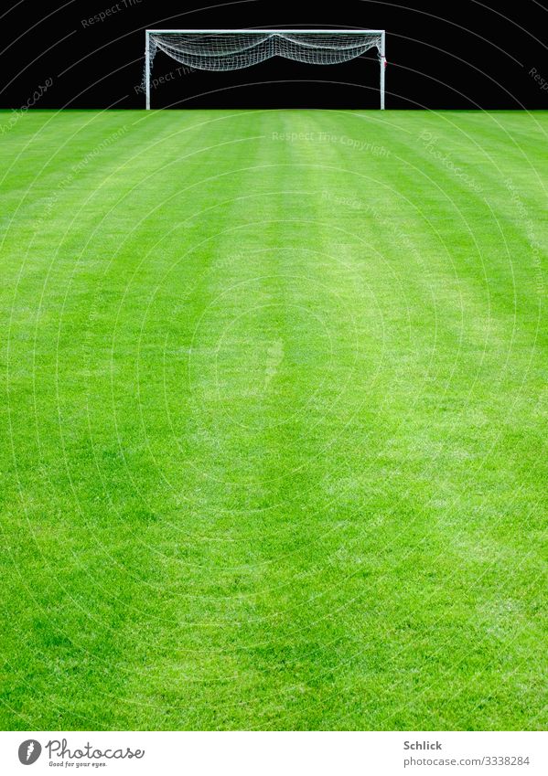 Lawn Sports Ball sports Sporting Complex Football pitch Green Black White Grass surface Goal Net Groomed Deserted Colour photo Exterior shot Copy Space bottom