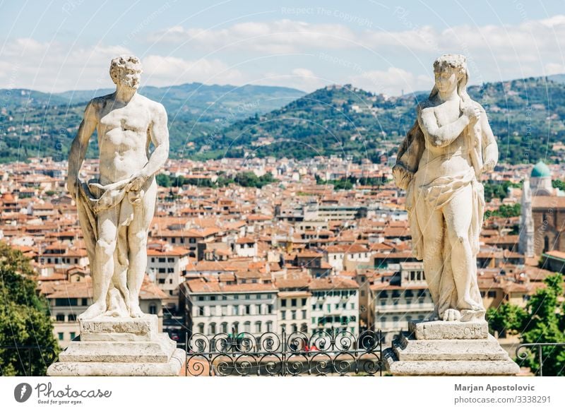 Panoramic view of the city of Florence, Italy Sculpture Architecture Landscape Tuscany Europe Town Skyline Discover Old Esthetic Historic Uniqueness