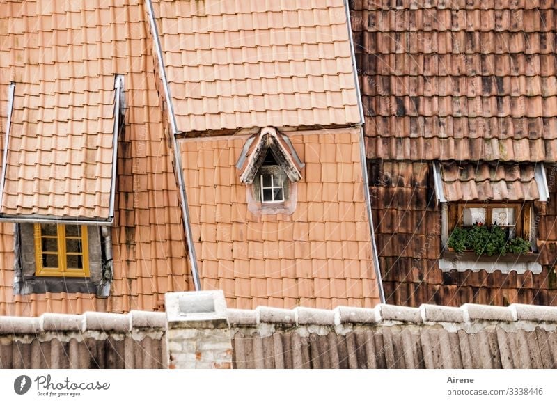 little outlook, little insight Roof Day Gable Tradition Authentic Historic Retro Cozy Old Franconian Pitch of the roof Roofing tile Brick red Tiled roof
