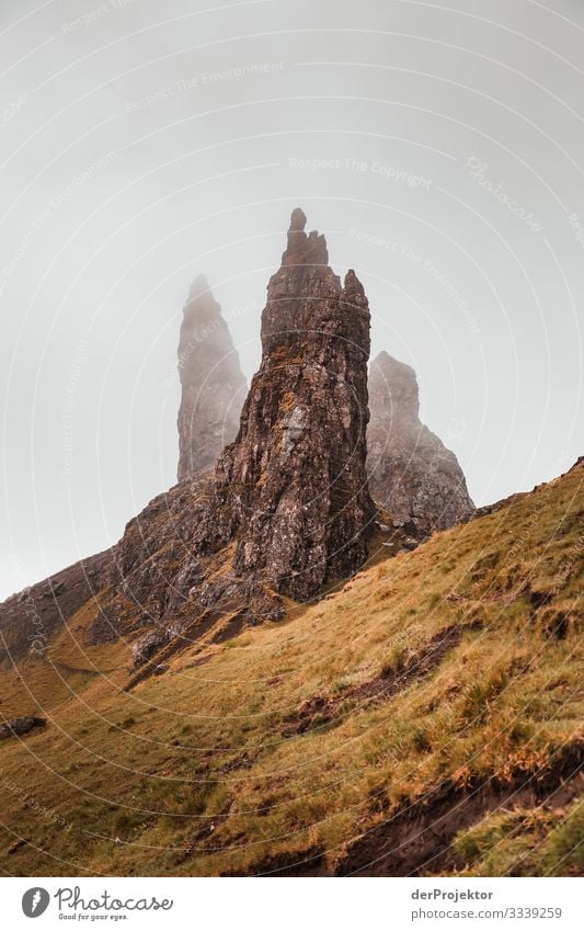 Old Man of Storr on the Isle of Skye Vacation & Travel Tourism Trip Adventure Far-off places Freedom Mountain Hiking Environment Nature Landscape Plant Animal