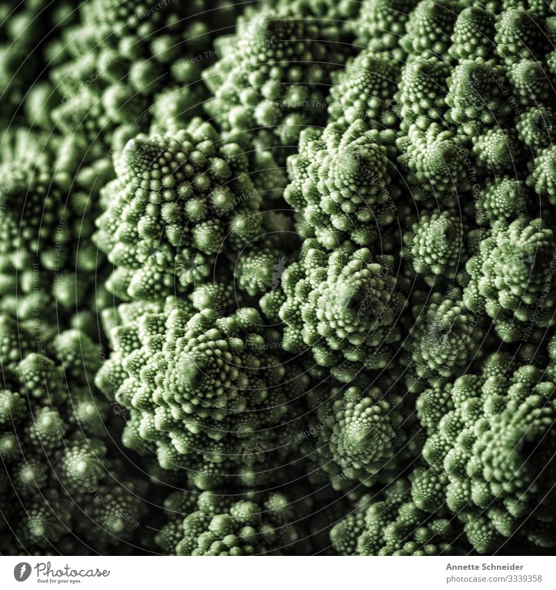 Broccoli Agricultural crop Plant Organic produce Nutrition Vegetable Food