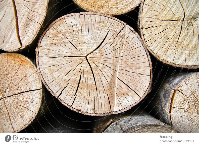 firewood Winter Warmth Forest Wood Sustainability Round Biomass fuel Beech tree Energy Heating Background picture Firewood Stack of wood Annual ring