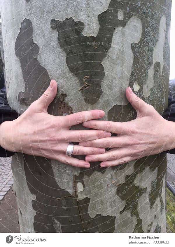 Hands tree trunk Fingers Nature Spring Summer Autumn Winter Climate Tree Gray Green Silver White Tree trunk To hold on Embrace Love of nature Encompass
