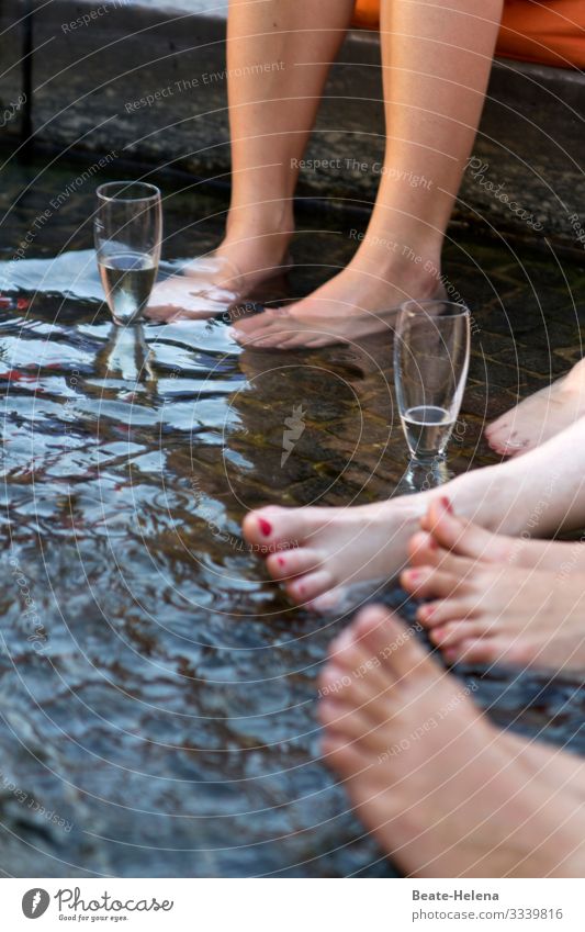 Cheers! Joy Party Going out Feasts & Celebrations Drinking Swimming & Bathing Blossoming Relaxation Communicate Exceptional Healthy Happy Cold Wet Positive