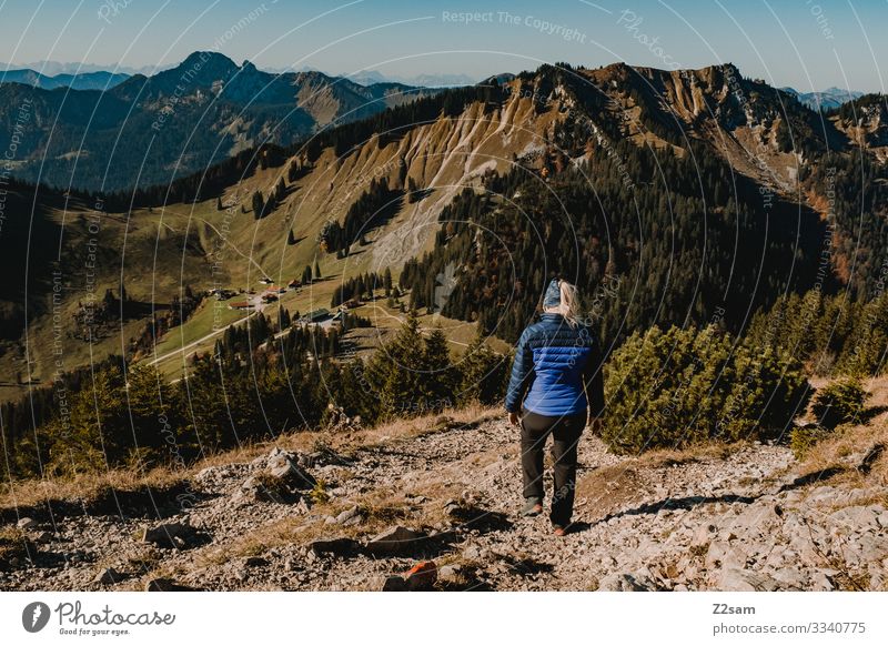 Hiking on the Brecherspitz | Bavaria crusher tip mountain Alps Peak Forest panorama Going Athletic Sports shrubby warm Autumn Green Brown Woman Blue sky