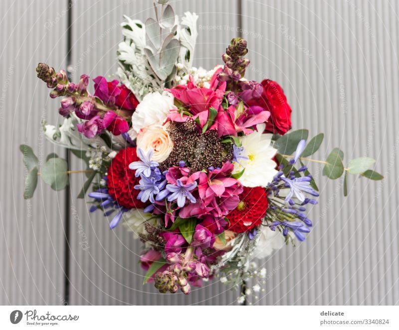 bridal bouquet Environment Nature Plant Flower Rose Tulip Ivy Fern Orchid Leaf Blossom Blossoming Bride Bouquet Bud Blossom leave Eucalyptus blossom Wood