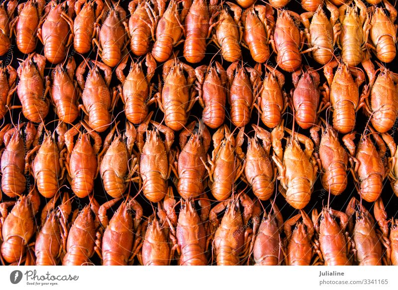 Many crawfishes Animal Red Tradition Crawfish Cancer amphibian many Cooking Tasty Meal food russian background Consistency Colour photo Multicoloured