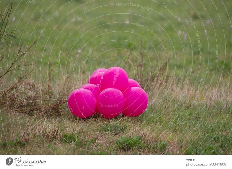 pink colored balloons in a meadow Nature Decoration Balloon Pink celebration Meadow landscape copy space gas balloon helium balloon nobody Party Colour photo