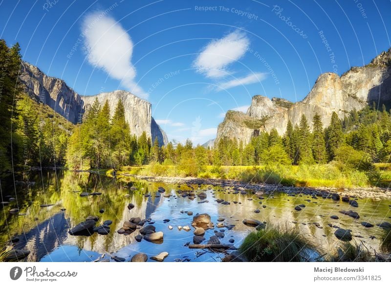 Yosemite Valley, USA. Beautiful Vacation & Travel Tourism Trip Adventure Far-off places Expedition Summer Summer vacation Mountain Hiking Nature Landscape Tree