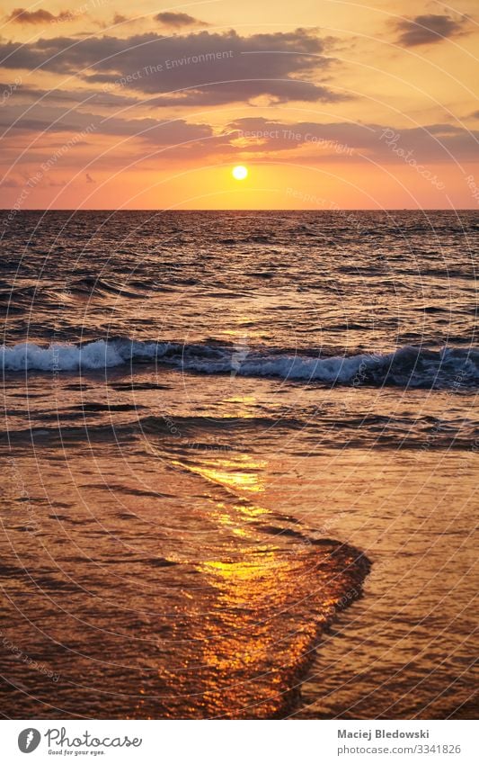 Golden sunset over the sea. Vacation & Travel Tourism Trip Far-off places Freedom Cruise Summer Summer vacation Sun Beach Ocean Island Waves Nature Landscape