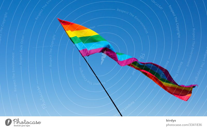 Rainbow flag in the wind against blue sky rainbow flag LGBTQ queer Prismatic colors Wind Flag Illuminate Cloudless sky Homosexual Fresh Positive pride