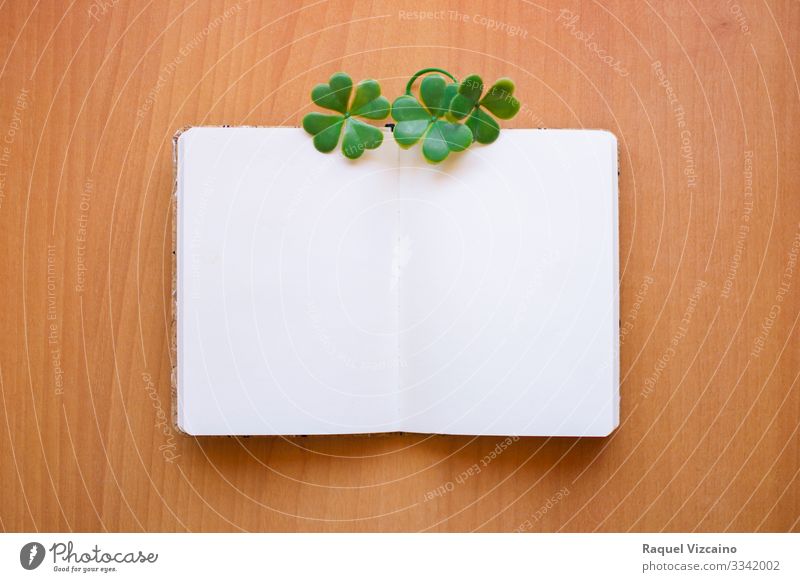 Open and blank notebook Office Business Leaf Stationery Paper Write Brown Green White Clover Notice Blank post wood empty graphic resource Communication patrick