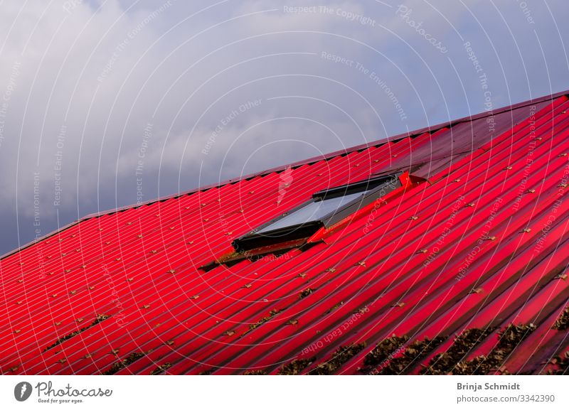 A red roof against a grey sky Sky Cloudless sky House (Residential Structure) Window Roof Eaves Build Illuminate Firm Friendliness Red Happiness Optimism Trust