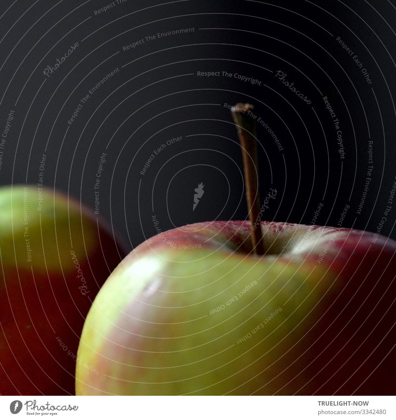 Apple on stem in square (detail) Food Fruit Nutrition Organic produce Vegetarian diet Diet Fasting Healthy Healthy Eating Wellness Life Harmonious Well-being