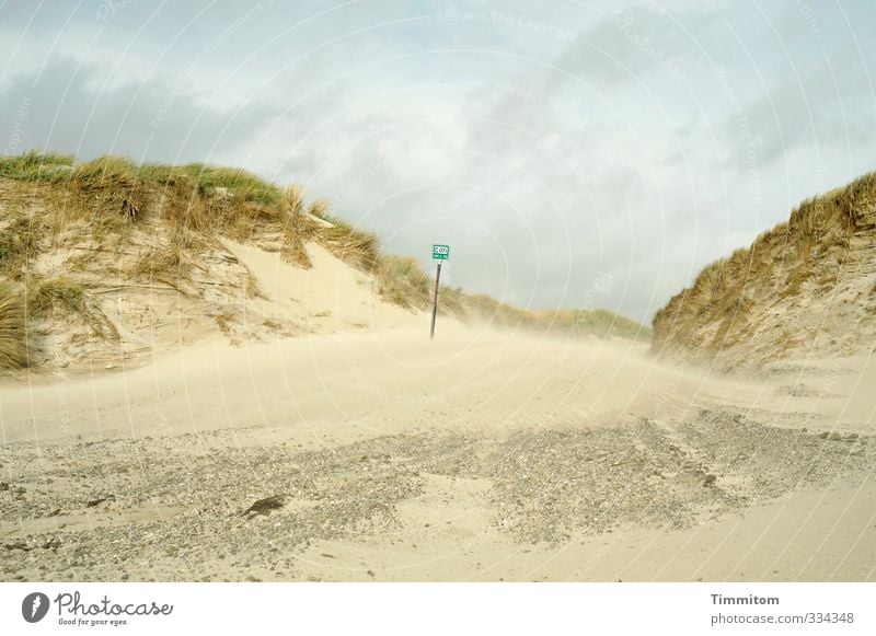 Sandwind. Environment Nature Landscape North Sea Dune Denmark Signs and labeling Going Natural Emotions Beach Lanes & trails Intersection Marram grass Stone