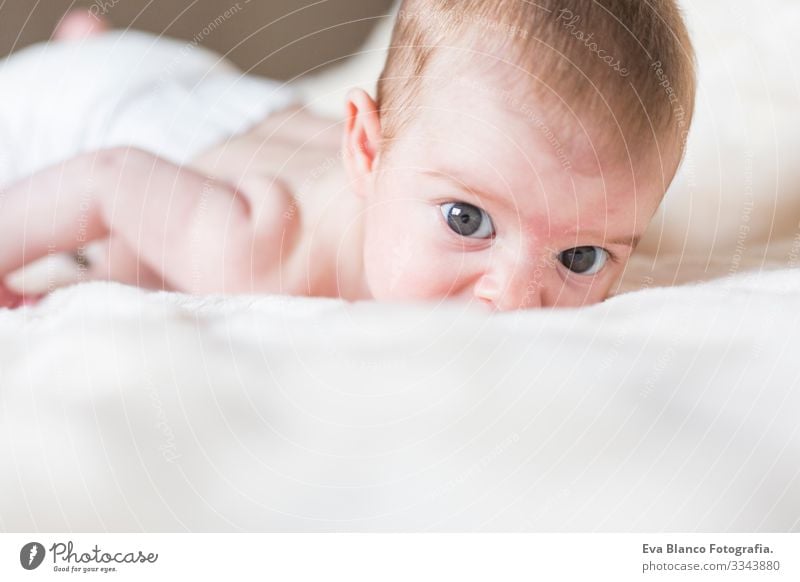 Portrait of  a cute baby girl awake, lying down and looking at the camera. White blanket background Baby Cute Small Portrait photograph Child Infancy Beautiful