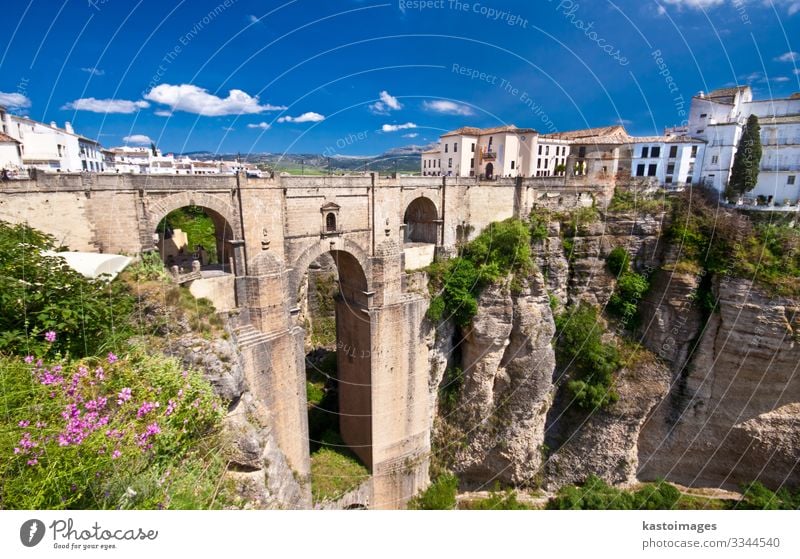 New bridge in Ronda, Andalucia, Spain Vacation & Travel Tourism Summer Mountain House (Residential Structure) Nature Landscape Sky Clouds Horizon Flower Rock