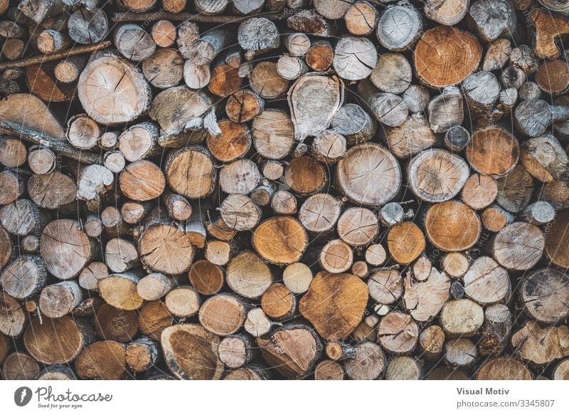 Stacked wood logs Environment Nature Tree Forest Wood Old Natural Brown Colour Stacked Wood logs Wood Logs exterior Consistency abstract photography Timber